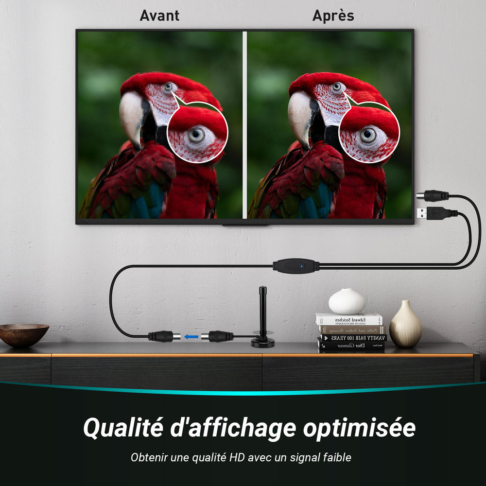 Amplificateur d'antenne pour amplifier le signal de l'antenne TV numérique coaxiale DTB115